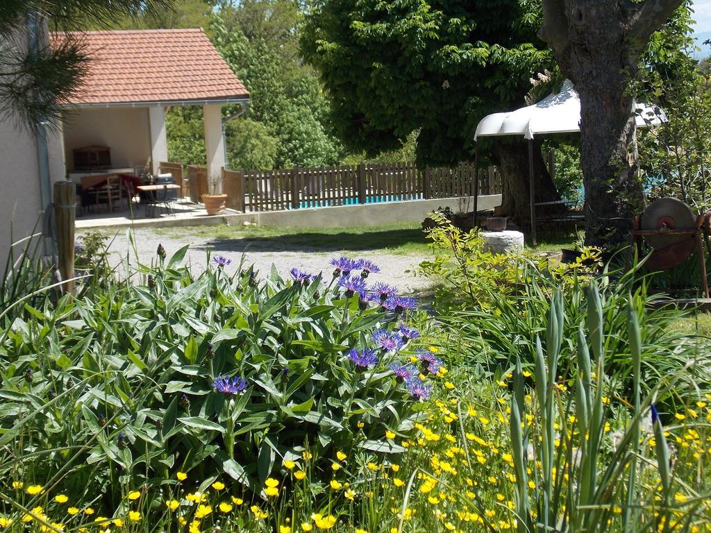 A La Mare du Vieux Chêne Bellegarde-Poussieu Exterior foto
