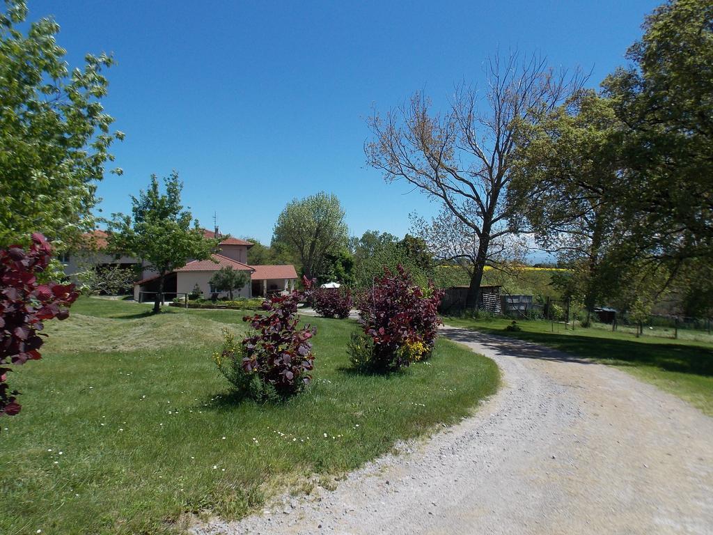 A La Mare du Vieux Chêne Bellegarde-Poussieu Exterior foto