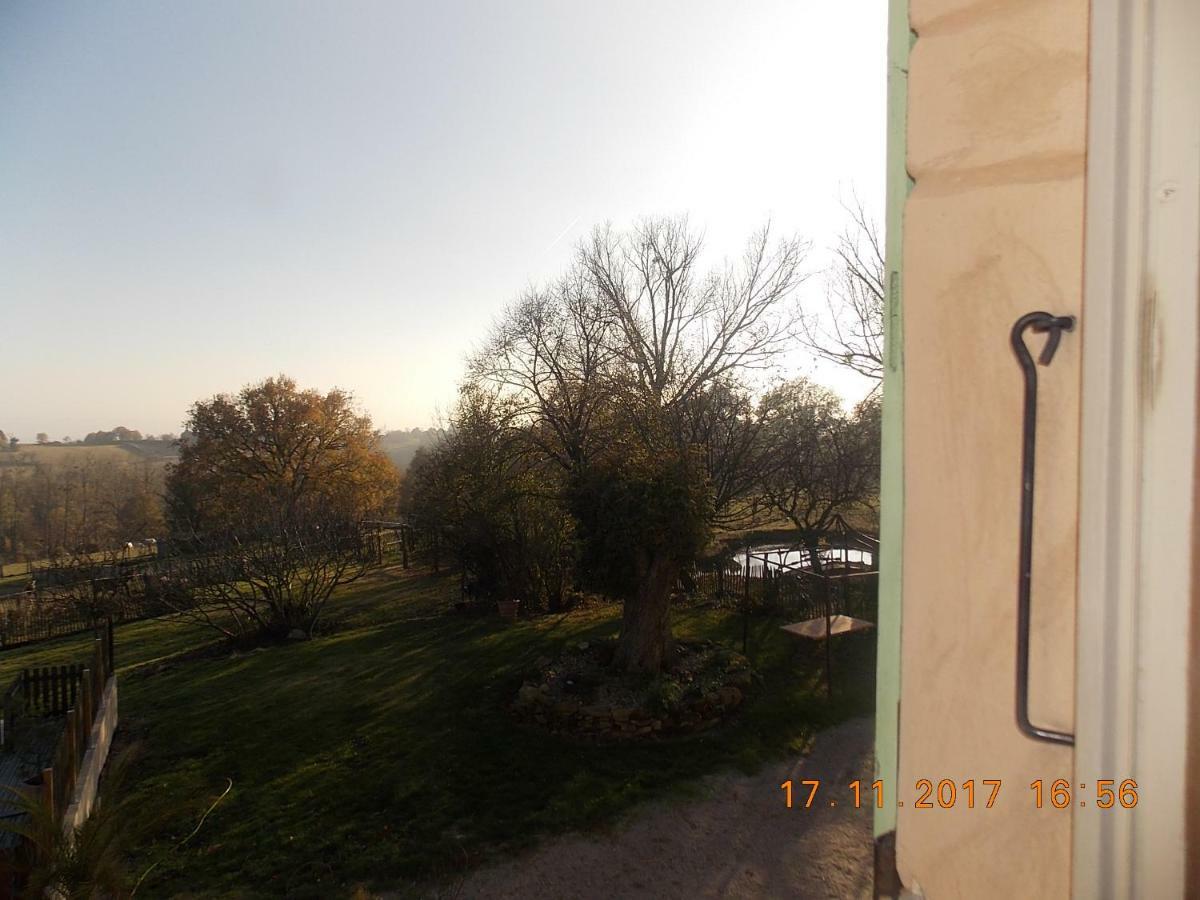 A La Mare du Vieux Chêne Bellegarde-Poussieu Exterior foto